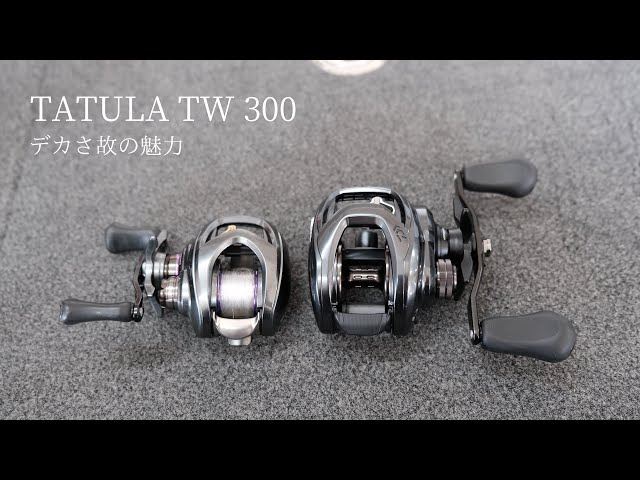 使いこなせる釣り人が使うとこれ以上無い武器になるリールを紹介します