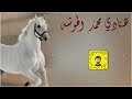 شيلة هنادي محمد الهوشه سعد محسن حصريا 2026 