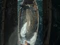 This Fish Made A Hole In Our Beloved Boat This Fish Made A Hole In Our Beloved Boat