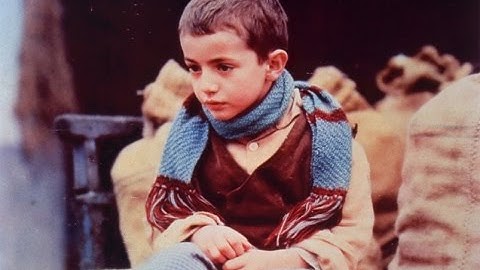 『聖なる酔っぱらいの伝説』などのエルマンノ・オルミ監督作！映画『木靴の樹』予告編