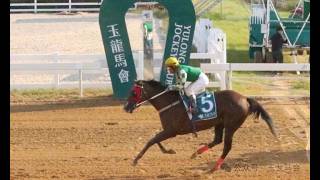 20260912 Imported Thoroughbred 3YO+ 1600m (Race 6)