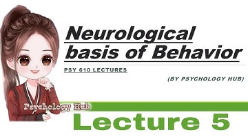 Psy610 lecture 5 // Neurological basis of behavior Lecture 5 // Psychology Hub