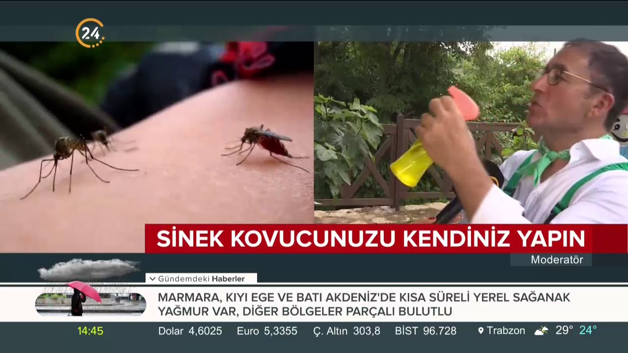 sivrisineklerden dogal korunma yollari kimyasal spreyleri atin youtube