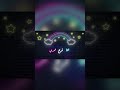 ماجوز عن حبك  انت العشق صقر انت العشق صقر