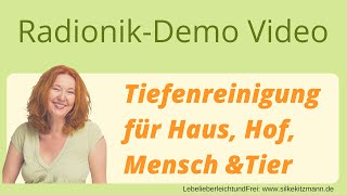 Radionik Reinigungsprogramm screenshot 4