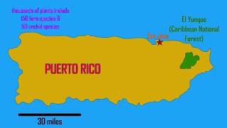 how will climate change affect tropical forests