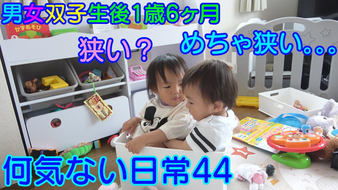 引っ付いてケンカして。。。仲良いのか悪いのかw男女双子赤ちゃん生後