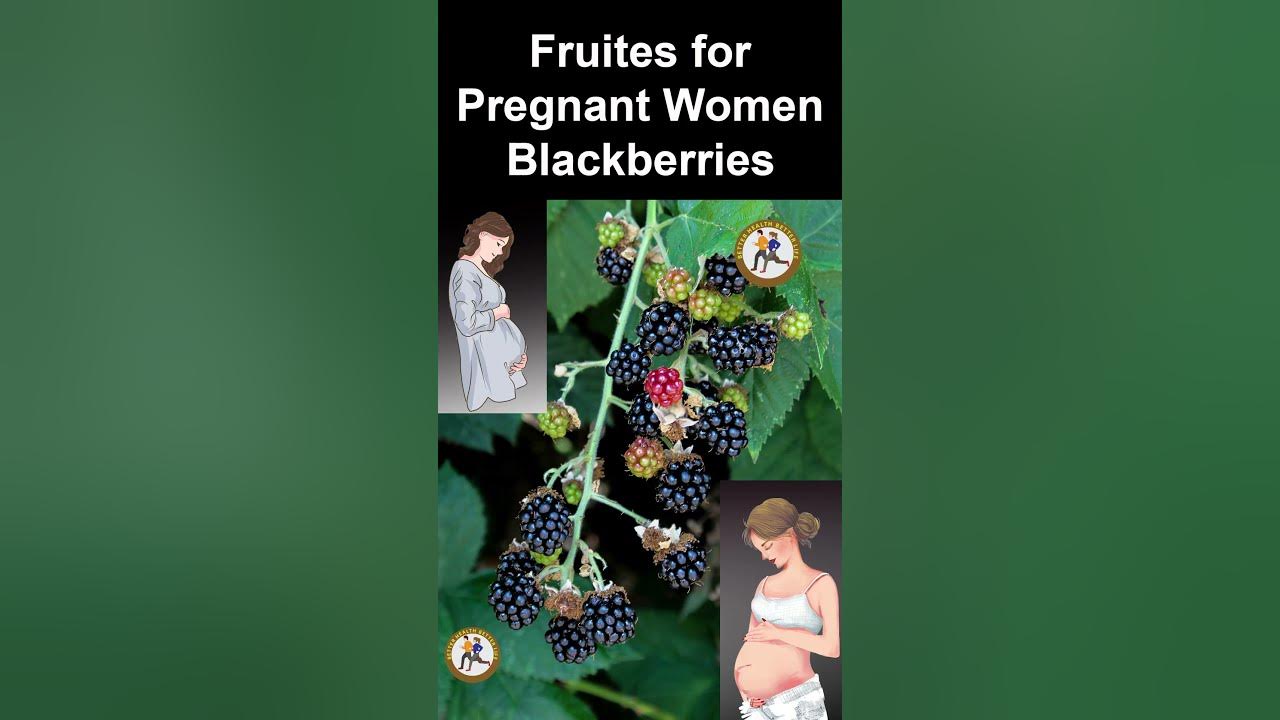 BlackberriesFruitsPregnant Pregnancy health Viral YouTube