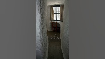 وَتَوَكَّلْ عَلَى الْعَزِيزِ.. القارئ علي جابر ، سورة الشعراء