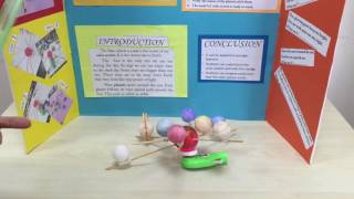 STEM - SCIENCE PROJECT- PRIMARY SCHOOL