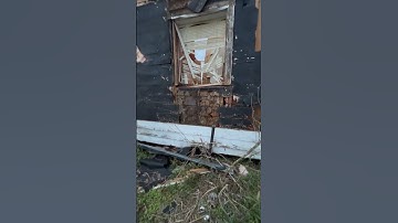 Massive beehive in #louisiana while salvaging #cypress house