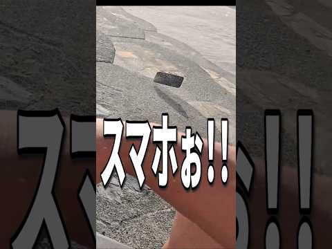 ベラの味噌バターホイル焼き 〜ていぼう30分クッキング〜 #ヘビさんのアウトドア日誌