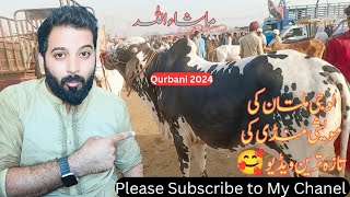 Multan Cattle Mandi New Updates#viral #subscribe #bakramandi#bigestbull(Biggest Bull)❤