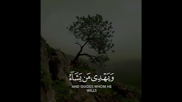والله يدعو إلى دار السلام ويهدي من يشاء إلى صراط مستقيم | سورة يونس | القارئ رعد الكردي