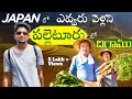 We got down at a Random Village in Japan for the local Fisherman | Nagabeta Seabed Road | Ep-3