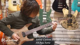 Blue Guitars - dragonfly / Border Custom 666 & Sottile Custom 666