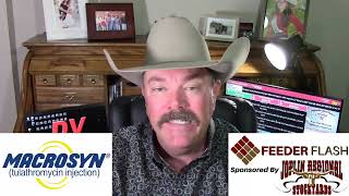 Feeder Flash 9/8:  Northern Feeders Implode