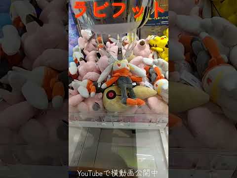 #クレーンゲーム #攻略 #ポケモン #ポケモン30周年 #ラビフット