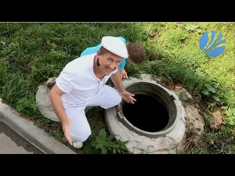 Video: Жалбырак үйлөткүчкө газды кантип аралаштырасыз?