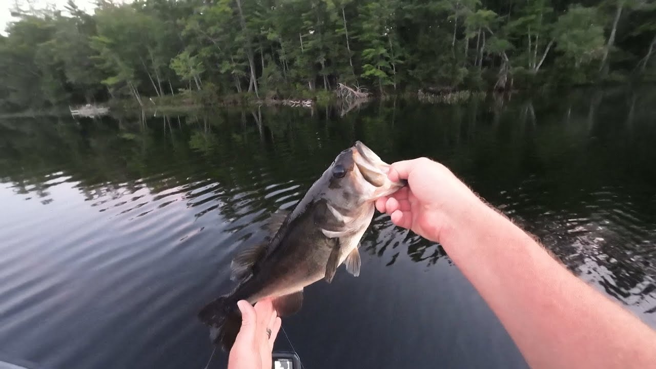 Topwater Bass fishing