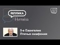 5 е Евангелие. Птичья симфония