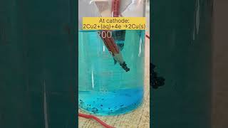 Electrolysis of copper sulphate (CuSO4) experiment|#shorts #electrolysisexperiment #electrochemistry