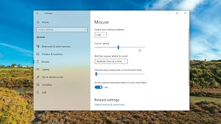 How To Change How Many Lines To Scroll Each Time on Windows 10 [Guide]