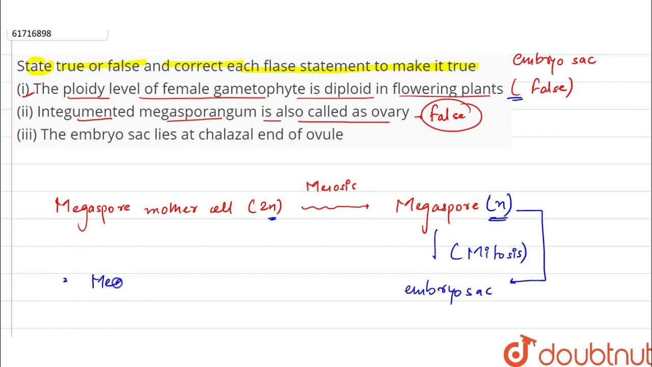 Are these statements true of false correct. Are these statements true of false correct