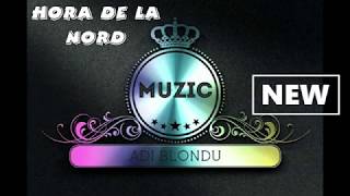 Formatia Adi Blondu INSTRUMENTALA Hora de la Nord  NEW 2020 LIVE