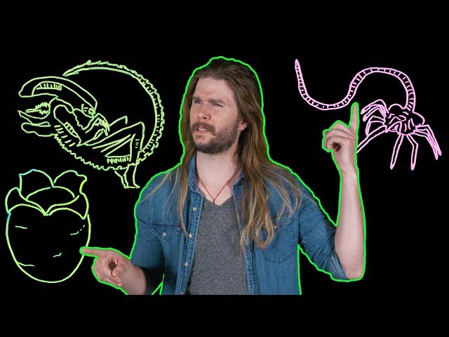 The Definitive Xenomorph Lifecycle