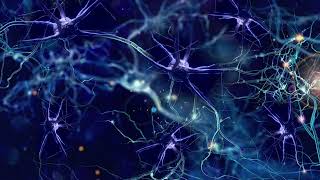 MAXIMUM READING SPEED & LEARNING SPEED — Morphic Fields Energy Fields +