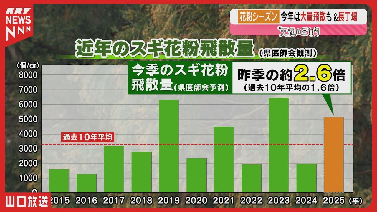 2025 cedar pollen season will be 