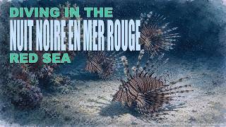 Diving elsewhere: Black night in the red sea, March 2023 #DiveExplo360