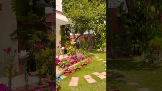 Spring beauty🌾 #shorts #nature #beautiful #india #garden #flowers #iitkanpur #green #happy #ytshort