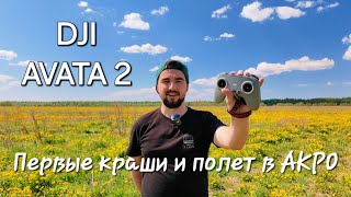 Dji Avata 2. Куча крашей и полет в АКРО