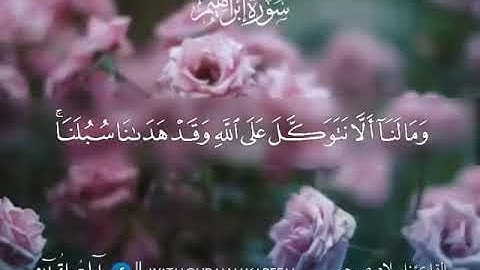 خواتيم سورة إبراهيم - القرآن الكريم - مرتل برواية حفص عن عاصم