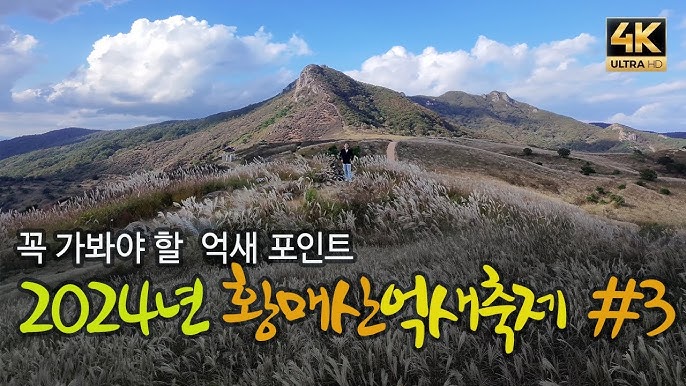 이미지 미리보기