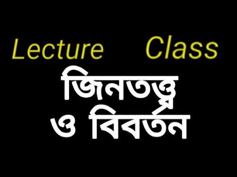 ভিডিও: আর্কিটেকচারের বিবর্তন