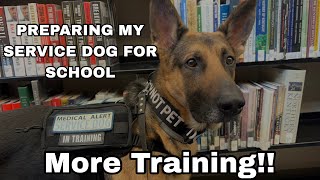 Preparing Your Service Dog For School Is A LOT Of Work😅