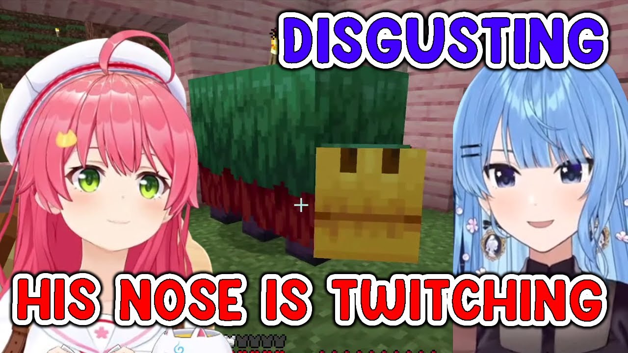 Miko and Suichan's reaction when they see Sniffer