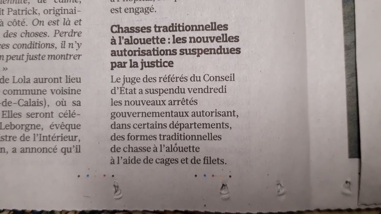 palombe.org - Décision du conseil d'état sur la chasse au filet de l'alouette