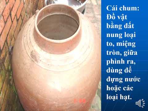 Lớp 3_T22_Tập đọc_Cai cau