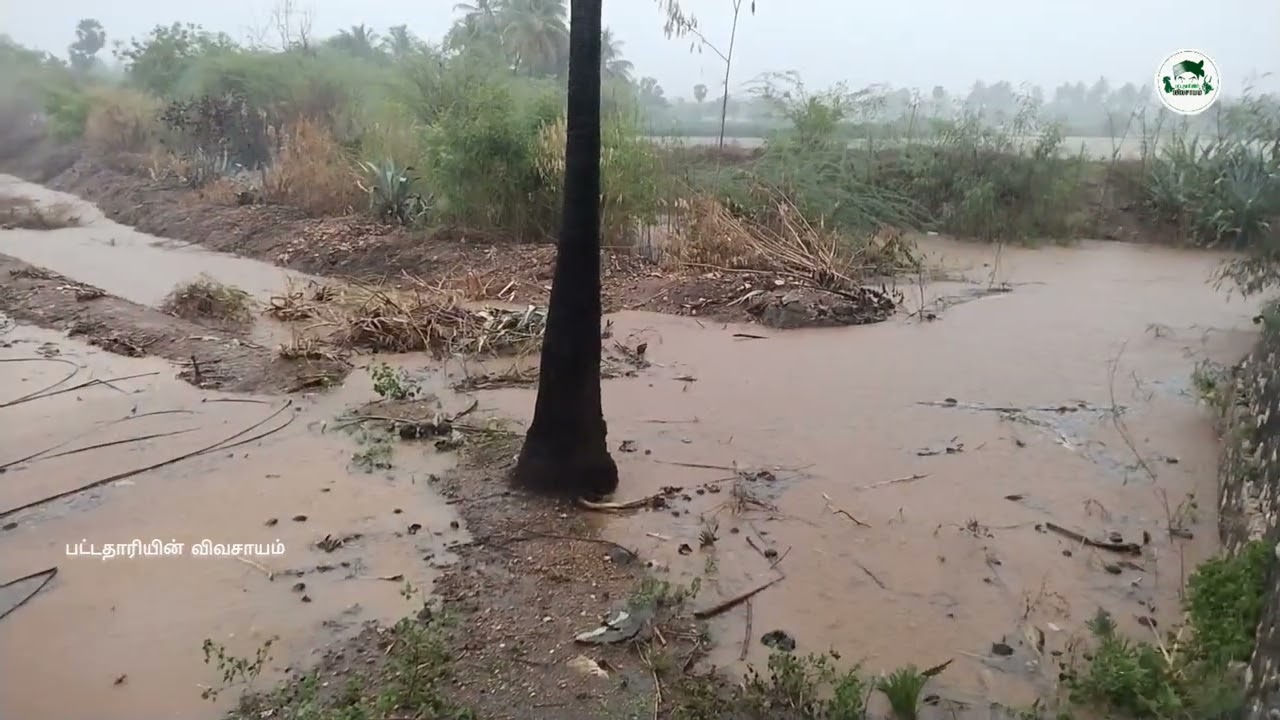 சீறி பாயும் மழை நீர் || Flood || N.Vellalapalayam || மழை May 19 2024 || Nambiyur
