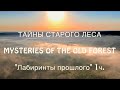 Загадочные лабиринты прошлого. Таинственная находка в лесу / MYSTERIES OF THE OLD FOREST