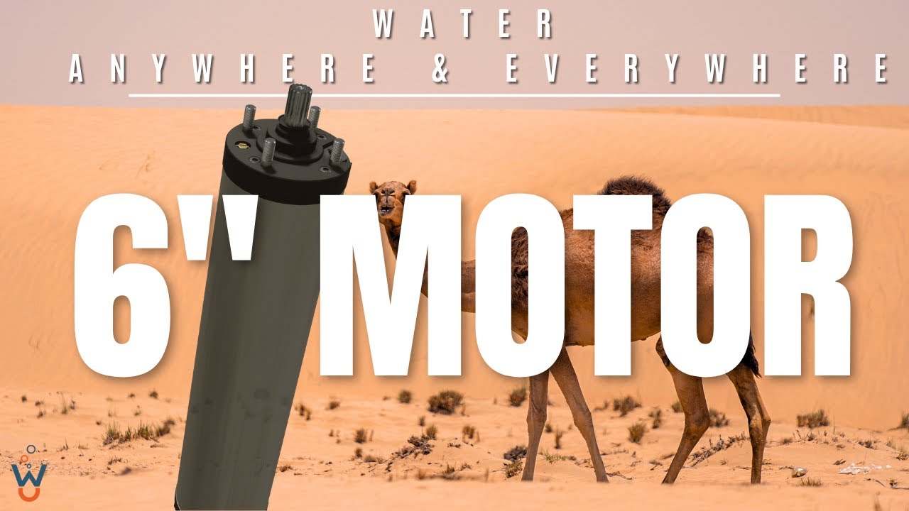 6" SUBMERSIBLE MOTOR ASSEMBLY . WATERMAN PUMPS.