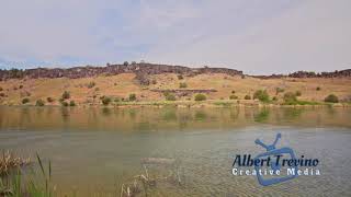 Zen Video: Cliff Swallows Over the Snake River