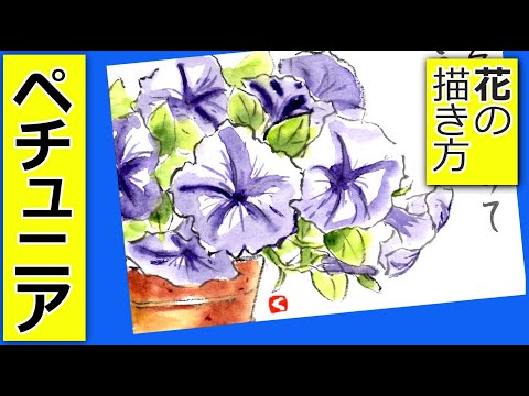 How to draw petunia flowers | Gardening picture letter sketch