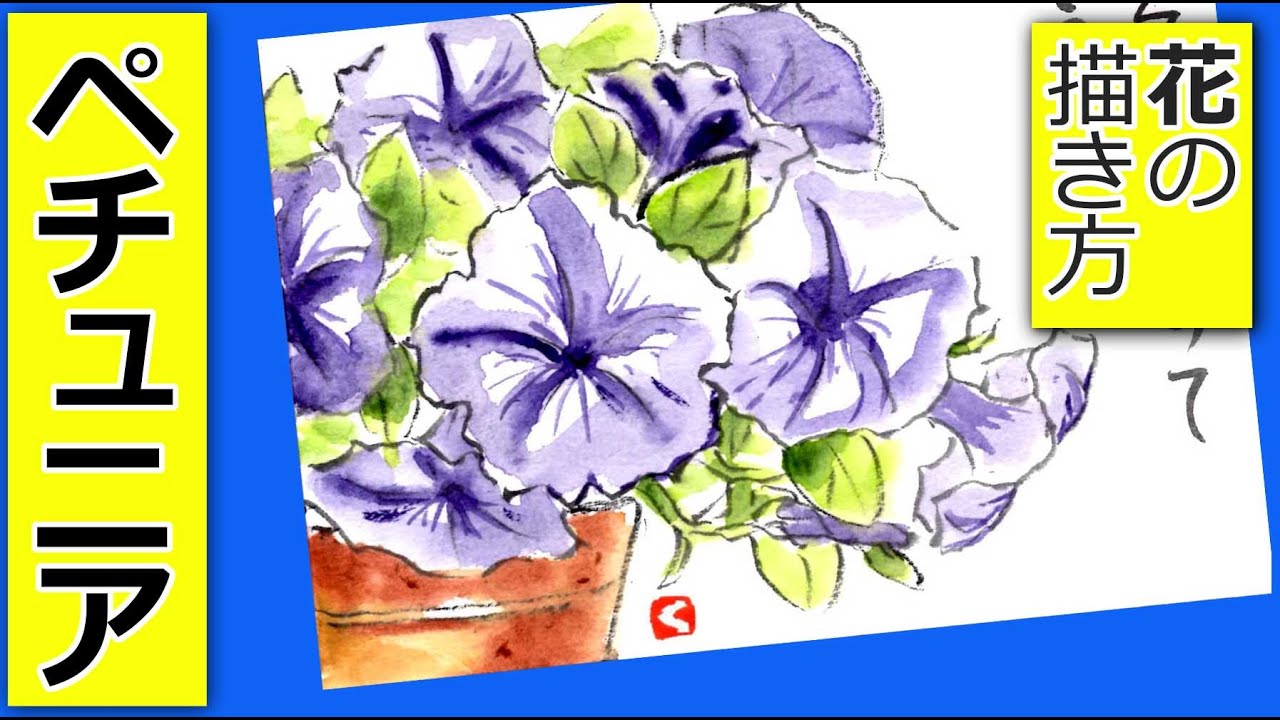 How to draw petunia flowers | Gardening picture letter sketch