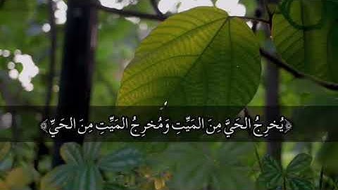 تلاوة خاشعة وآيات مباركة من سورة الأنعام.📚/القارئ عمر الدريويز./حالات واتس أب دينية.💞