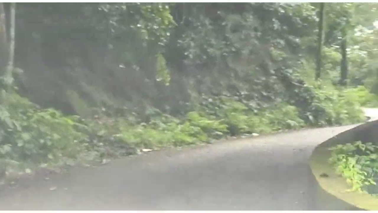 A glimpse to nature/bisle ghat road karnataka